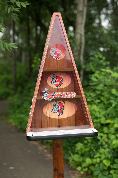 a holes bean bag toss game.